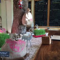 christmas time at Smoothie Shop in Jimbaran