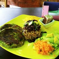 Arroz Venezolano 100%vegano at El Vegano Andante in Medellin