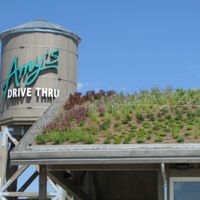 Living roof at Amy's Drive Thru in Rohnert Park