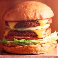 the Amy is the signature burger on the menu. a decent burger but the fries though, are really worth the trip.  at Amy's Drive Thru in Rohnert Park