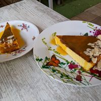  at L'Arbousier in Nimes