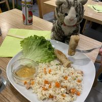 The children’s meal - vegetable rice, spring rolls, salad - our seven year old said they were the best spring rolls he’s ever had. The toy cat liked them too 😻  at Vege Saveurs in Paris