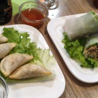Raviolis frits, Rouleau de printemps at Vege Saveurs in Paris