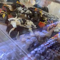 floral vegan donuts!   at Thrive Juice Bar and Kitchen in Bar Harbor