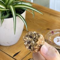 Peanut butter chocolate chip energy bite  at Thrive Juice Bar and Kitchen in Bar Harbor