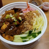 Saucy tofu with vegan meat and salad on rice at Wei's Noodle House in Ottawa