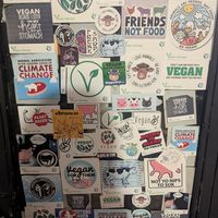  at Kiwi Vegan Cafe in Tbilisi