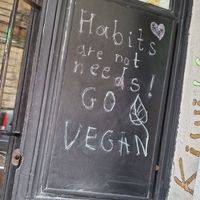  at Kiwi Vegan Cafe in Tbilisi