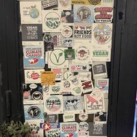   at Kiwi Vegan Cafe in Tbilisi