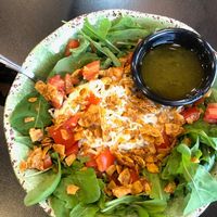 Deliciois alfredo pasta dish at Wild Alchemy in Wallingford