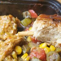 look at that drumstick! it's even gluten free! at The Nile Cafe in Philadelphia