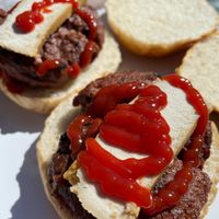   at Tyne Chease in Newcastle Upon Tyne