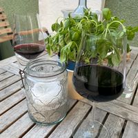  at Gruene Kombuese in Rostock