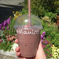 Acai Smoothie to go! at Mauloa Acai and Cafe in Osaka