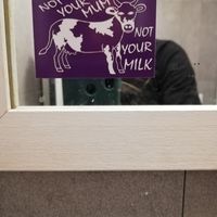 Toilettenspruch at Buddy VEGGY in Rome