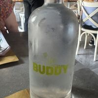   at Buddy VEGGY in Rome