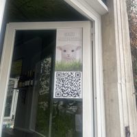   at Buddy VEGGY in Rome