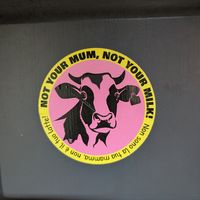 Love their animal stickers at Buddy VEGGY in Rome