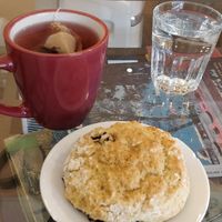 Blueberry scone and hibiscus tea at Caffe della Pace in Montreal