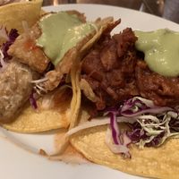 Tempeh taco and bbq jack fruit taco at Speakeasy in Petaluma
