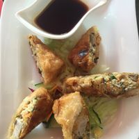 spring Rolls at Savory Chay in Berlin