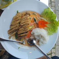 Vegan Duck in sweet potato curry sauce. at Savory Chay in Berlin