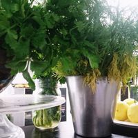 Herbs and spices and all things nices  at Oh My Goodness in Eastbourne