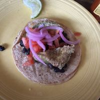 Deep fried breaded avacado taco vegan !   at Tex Tubb's Taco Palace in Madison