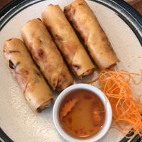 Spring rolls at Golden Lotus Vegan in Newtown