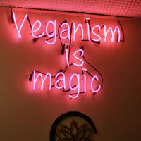  at Golden Lotus Vegan in Newtown