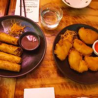 Saigonese Fried Spring Rolls $9.80; Eggplant Fritters $9.80 at Golden Lotus Vegan in Newtown