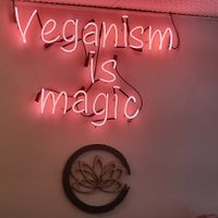  at Golden Lotus Vegan in Newtown
