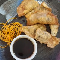 Dumplings at Golden Lotus Vegan in Newtown