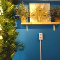 Deco at Coco's Corner Shop in Amsterdam