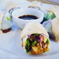 Spring rolls at Art of Raw at The Garden Lounge in Zadar