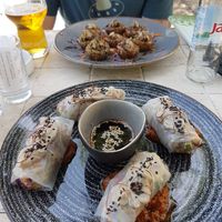 Spring rolls and button mushrooms at Art of Raw at The Garden Lounge in Zadar