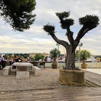 Outdoor garden  at Art of Raw at The Garden Lounge in Zadar
