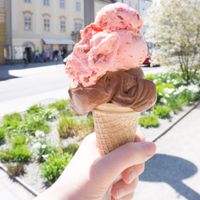 Anti-Aging-Ice Cream with Goji Berries & Chocolate - all vegan @ Eisdieler at Eisdieler in Linz