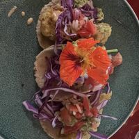 Vegan cauliflower tacos with corn tortillas  at Green Room Cafe in Jaco