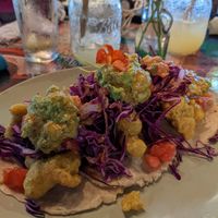 Huge cauliflower tortillas at Green Room Cafe in Jaco
