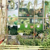 lovely  at Hieu Sinh Vegetarian Restaurant in Hanoi
