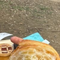  at Pasticceria Gualtieri in Florence