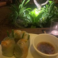 Fresh spring rolls   at Haven in Siem Reap