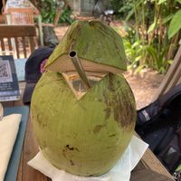 Fresh coconut, $2  at Haven in Siem Reap