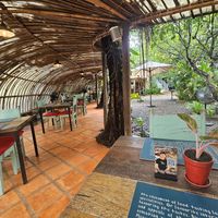 The yard at Haven in Siem Reap