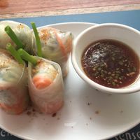 Spring rolls at Haven in Siem Reap