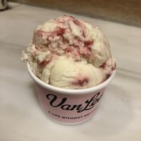 Pina colada   at Van Leeuwen Ice Cream - Manhattan Ave in Brooklyn