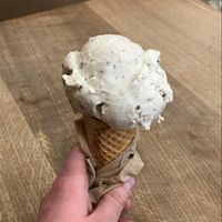 Vegan mint chocolate chip ice cream at Van Leeuwen Ice Cream - Manhattan Ave in Brooklyn