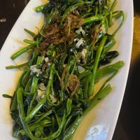 Morning glory  at Red Chilli in Hue