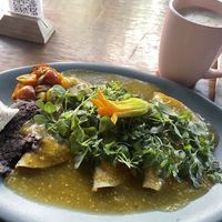 Enchiladas, food improved over the years we have come there.  at FOREVER in Mexico City